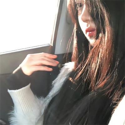 科搜研之女第24季