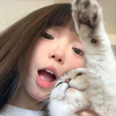 蚂蚁的梦想